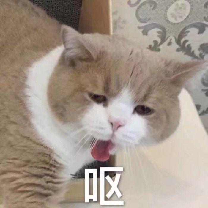 校方称菌子中毒失联的教授已离职,这事儿真没那么简单 校方称菌子中毒失联的教授已离职,这事儿真没那么简单